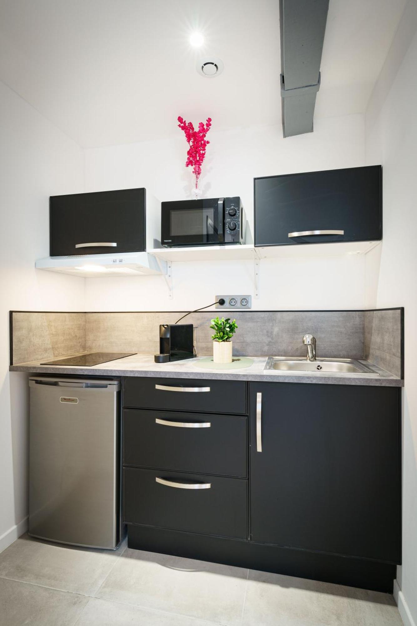 Apartment Le Petit Joyau De Voltaire